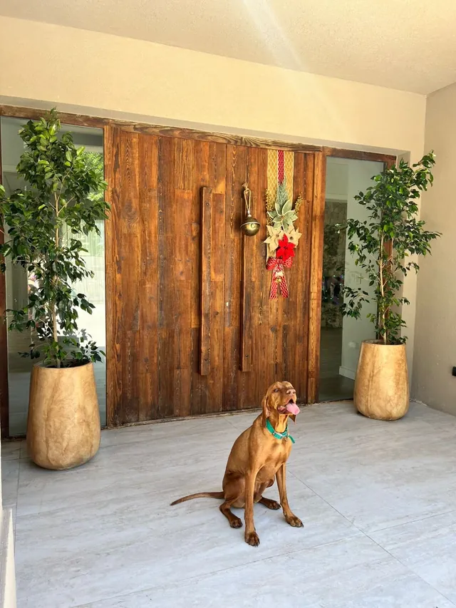 Puerta doble de tabla cortada con el perro de la familia